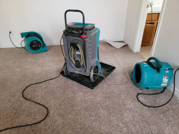 Best Carpet water damage restoration  in Lexington, IL