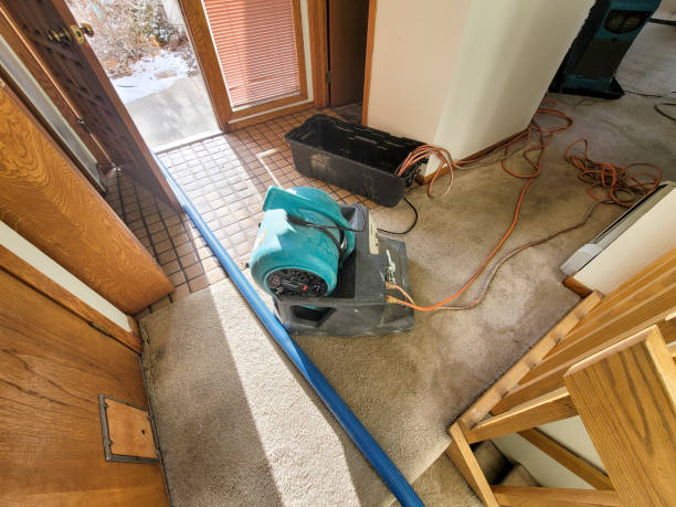 Best Water damage restoration cost  in Lexington, IL